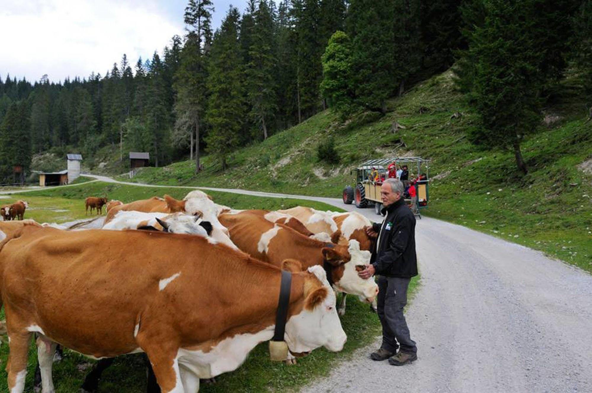 Landhaus Klausnerhof Hotel Garni Seefeld w Tirolu Zewnętrze zdjęcie